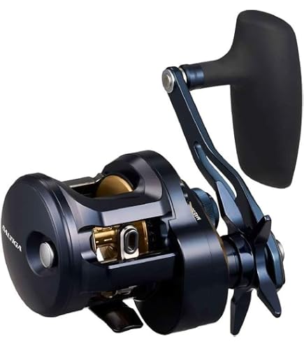 Amazon.com : Daiwa 21 Saltiga IC 100 : Sports & Outdoors