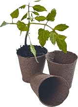 Garland 6cm Round Biodegradable Plant Seed Pots (96 Pack) view 2