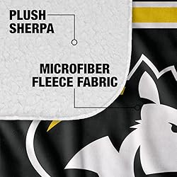 Michigan Tech University Primary Logo Stripes