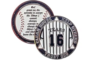 MYRECOVERYSTORE 16 Year AA Medallion Pinstripe Yearly Alcoholics Anonymous chip w/Coin Holder