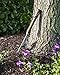 Joseph Bentley Traditional Garden Tools Stainless Steel Daisy Grubber