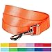 Blueberry Pet Essentials Florence Orange Dog Leash for Medium - 5' * 3/4