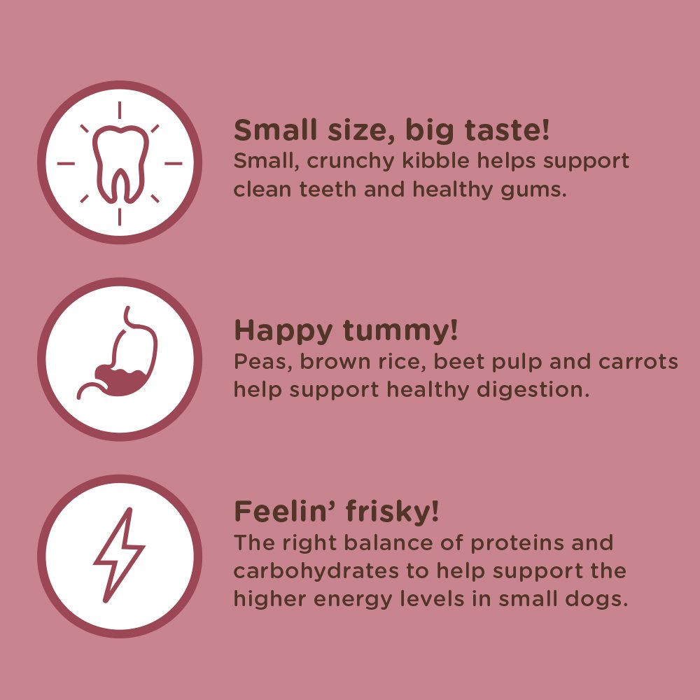 Rachael Ray Nutrish Natural Dry Dog Food - Image 7