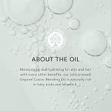 Tisserand Organic Castor Oil 100ml Skin Hair Massage Nail Oil view 4