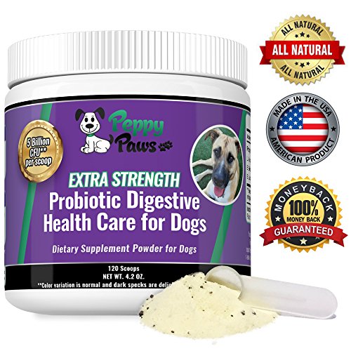 Top probiotic joint for dogs