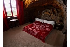 SOLARON Super Thick Heavy Weight Ultra Silky Soft Mink Heavy Duty Reversible Blanket Bed comforters bedspreads Bedding Comforter King or Queen (Queen, 255 Dragon Red)