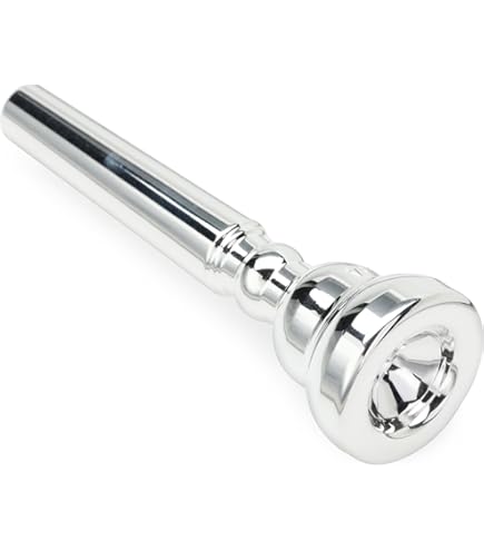 Amazon.com: Schilke Z Series Trumpet Mouthpiece, 13A4Z, Throat 27