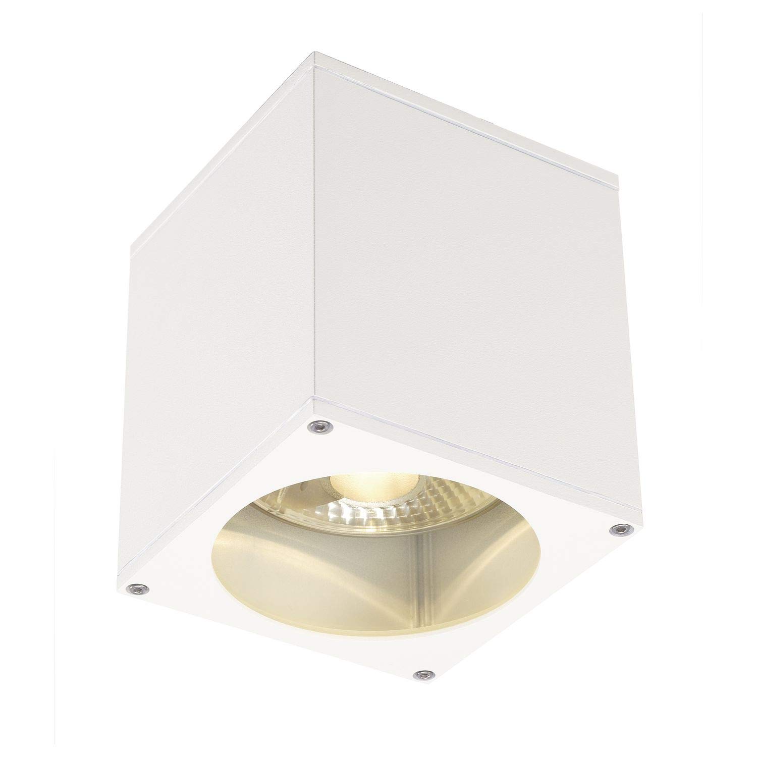 SLV Ceiling-Mounted Light Big Theo/Lighting for Walls, Paths, entrances, LED Spotlight Outdoor, Surface-Mounted Light Outdoor, Garden lamp, Ceiling Spotlight / GU10 IP44 75W White