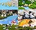 Ecooy 90 Pieces Miniature Fairy Garden Ornament Kit for DIY Dollhouse Decor with Storage Box