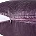 Lumbar Throw Pillow Covers Eggplant - PONY DANCE Light Weight Special Dryed Stipes Shining Pillowcase Rectangular Cushion Covers Decorative, Purple, 12 by 20 in, 2 Pieces