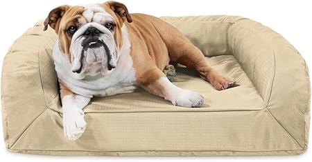 k9 ballistics amazon