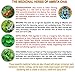 Tealixir Herbal Kombucha Tea - Inspired By The Traditions Of Ayurveda, Traditional Chinese Medicine And North American Folk Medicine, Probiotic, Vegan, Energy Drink, 12 Pack Variety