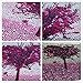ZSNUOK 5D DIY Diamond Painting by Number Kit for Adults or Kids, Full Special Shaped Drill Embroidery Arts Craft Mosaic Making Supplies Paint with Diamonds for Home Wall Decor Love Tree 12x12 inches