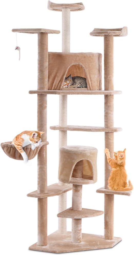 kitten play tent