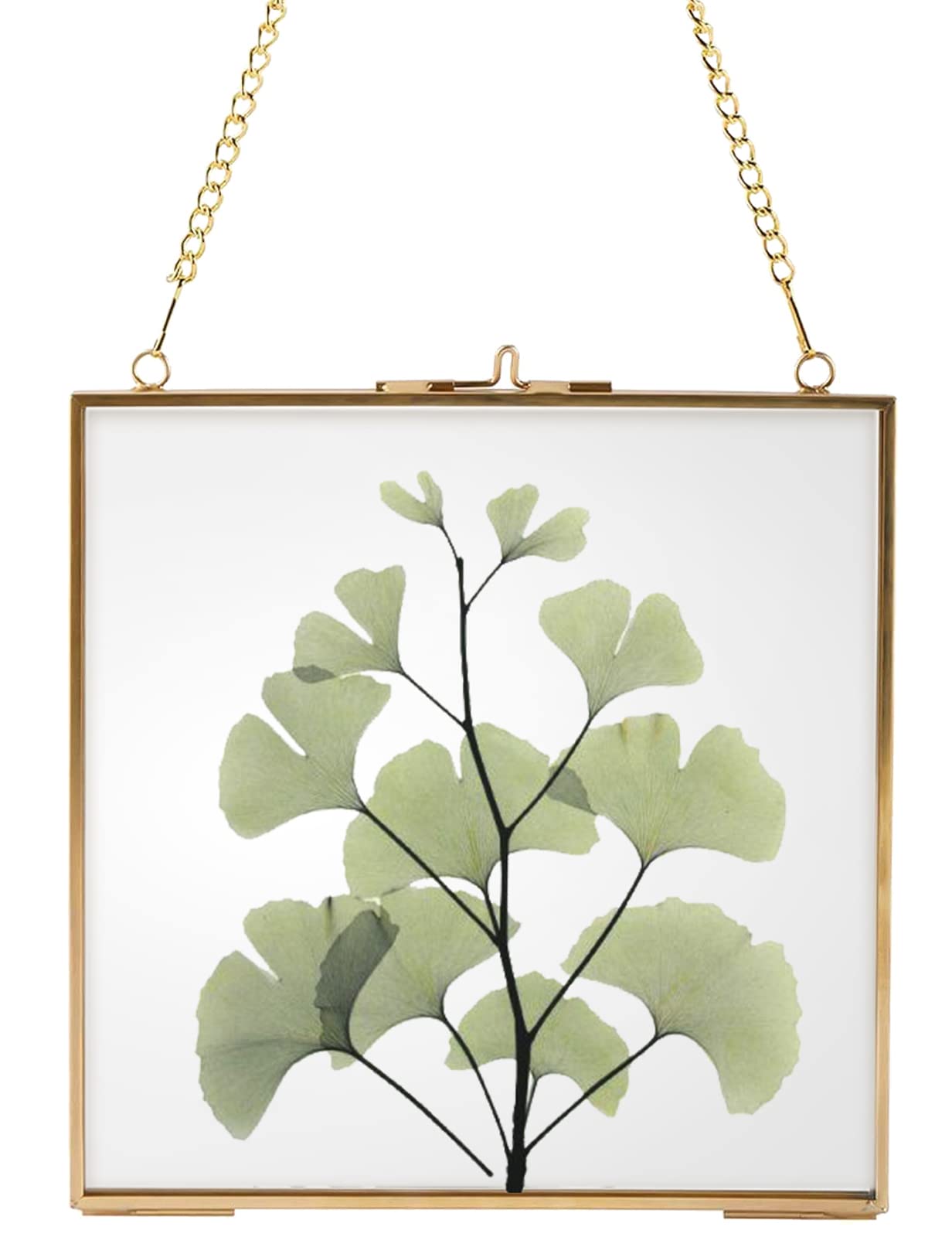 Homtone Hanging Brass Glass Frame 16cm x 16cm, Clear Wall Hanging Picture Frame for Dried Flowers Leaves, DIY Artwork Display, Gold Frame
