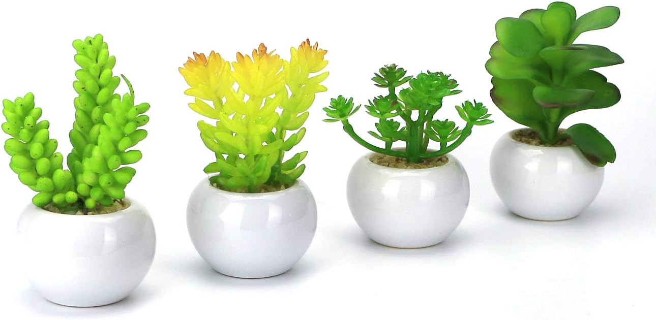GemEwell Artificial Succulent Plants 4 Kinds Fresh Green Mini Fake Cactus Succulent Potted Plant in White Round-Shaped Ceramic Pot Ideal for Home & Office Decoration (Succulents A (Green))