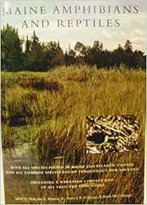 Maine Amphibians And Reptiles Malcolm L Hunter Aram J
