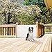 Dreambaby Stork Retractable Gate, White