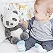 Cloud b Sound Machine with White Noise Soothing Sounds | Cuddly Stuffed Animal | Adjustable Settings and Auto-Shutoff | Peaceful Panda™