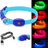 YFbrite Light Up Dog Collar Rechargeable LED Adjustable Blue XS view 3
