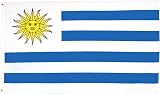 AZ FLAG Uruguay Flag 2x3 ft 100D Polyester with 2 Brass Eyelets Fade Resistant