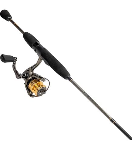 Amazon.com : Lew's Hypersonic Spinning Reel and Fishing Rod Combo