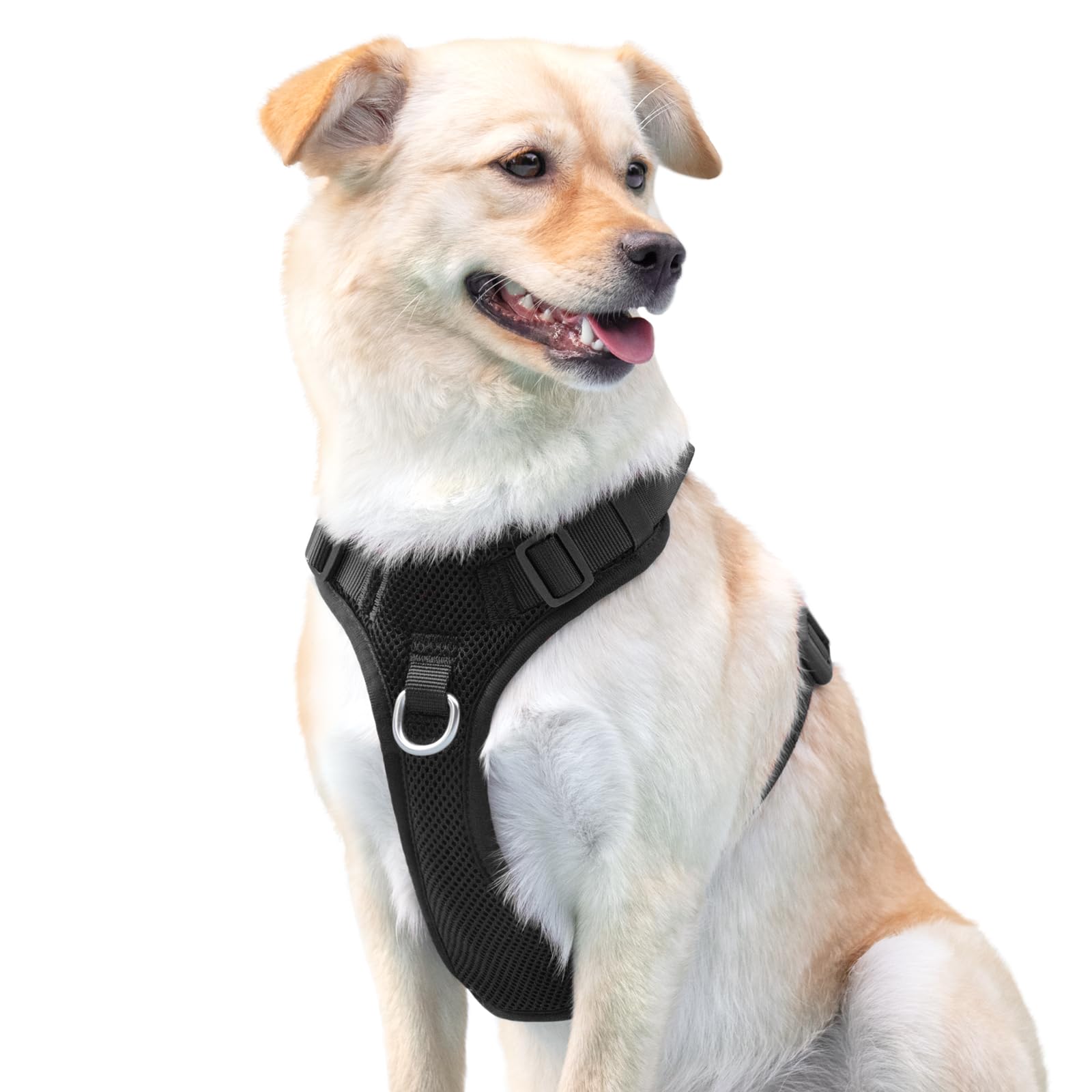 Photo 1 of No Pull Dog Harness for Small Medium Large Dogs - Adjustable Two-Layer Mesh Dog Vest with Dual Clip, Escape Proof, Quick Release, Lightweight Breathable Mesh for Walking Hiking (Black,S)