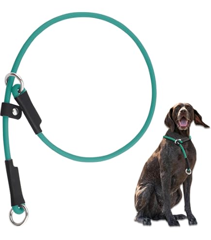 Training Leash For Puppies Slip Lead Dog/Puppy Training Lead – 4ft
