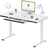FLEXISPOT One-Piece 48" Standing Desk with Acrylic-Front Drawer, Fast-Assembly Ergonomic Sit-to-Stand Desk with MDF Top, 4 Height Memory Presets Touch-Control, Home Office Computer Workstation, White