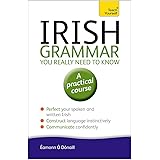 Teach Yourself Irish Grammar You Really Need to Know: A Practical Course