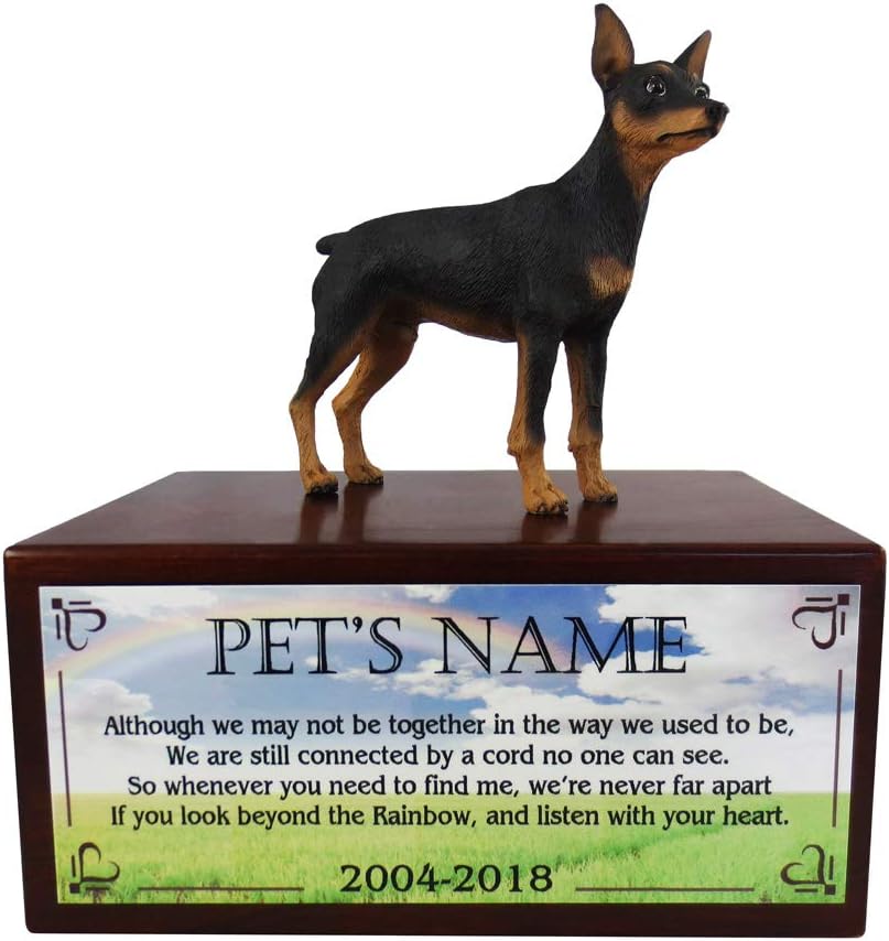 min pin black and tan