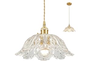 Loiogohot Glass Pendant Light Vintage Light Fixtures,Transparent Modern Chandelier Pendant,E26 Pendant Lights Kitchen Island,10.6 inch Hanging Lamp for Bedroom Hotel Dining Room 1 Light