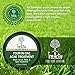 TreeActiv Four-in-One Acne Treatment | Wash, Scrub, Mask, and Spot Treatment | Heals Rosacea | Exfoliating Sugar | Face or Body | Natural Sulfur Clear Skin Cleanser | Bentonite (4 Ounce)
