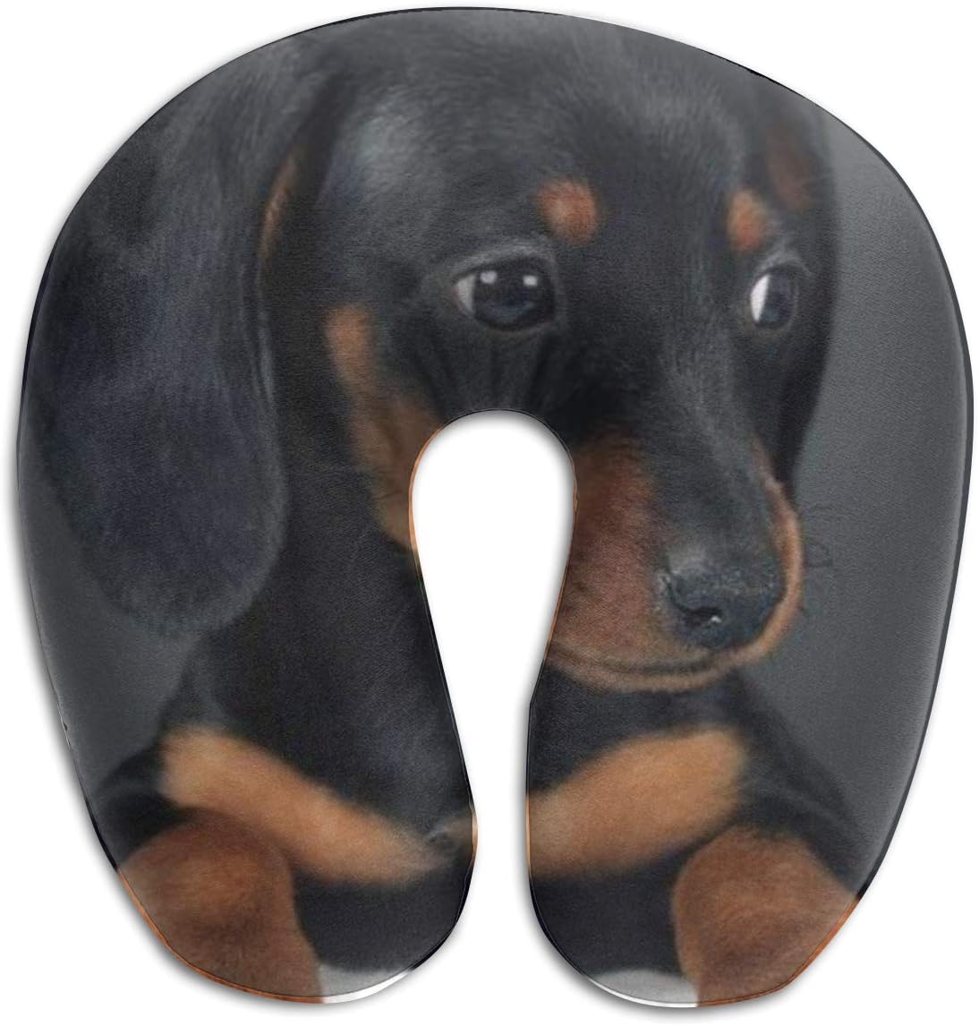 dachshund neck pain
