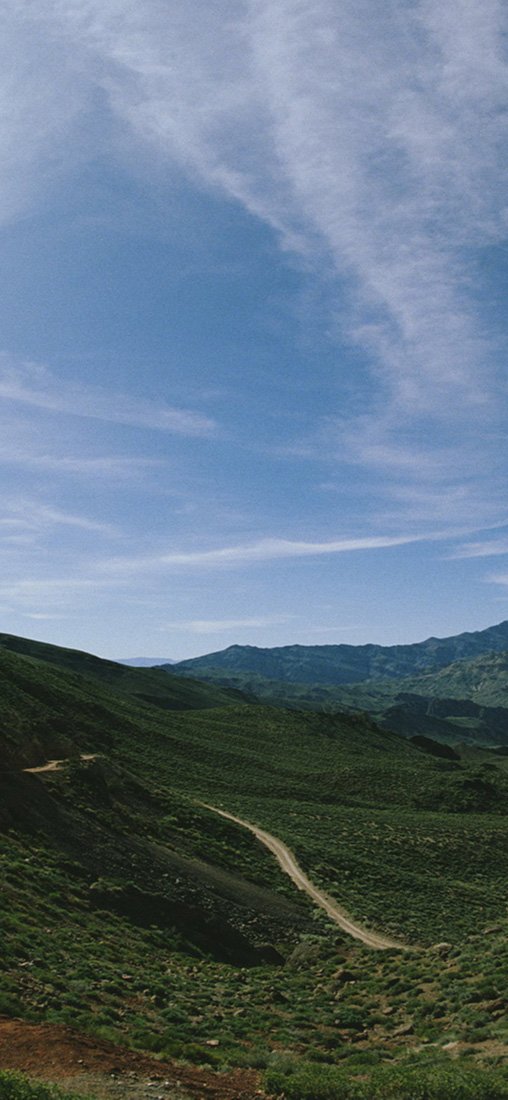 PeelitStickit, Beautiful Nature Wall Murals, ID-0821, vinyl