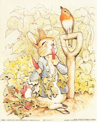 The Tale of Peter Rabbit Beatrix Potter the Original and Authorized Edition Wall Decor Art Print Poster (16x20)