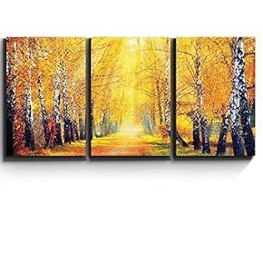 3 Piece Canvas Print - Contemporary Art, Modern Wall Art - Sunny Autumn Day Trees line a Path - Giclee Artwork - Gallery Wrapped Wood Stretcher Bars - Ready to Hang 16"x24"x3 Panels