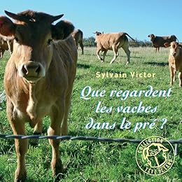 Que regardent les vaches dans le pré ?