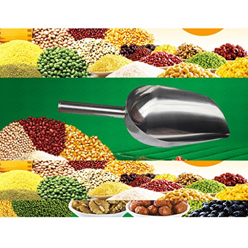 B Blesiya Multi-function Stainless Steel Ice Scoop Dry Wet Goods Flour Shovel Tool 9'' - Thumbnail 2