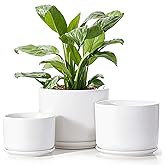 EFISPSS Plant Pots, 4+5+6 Inch Pots for Indoor Plants, Ceramic Planter Pot with Drainage Hole, Flower Pots for Succulent Cactus, Set of 3 - White