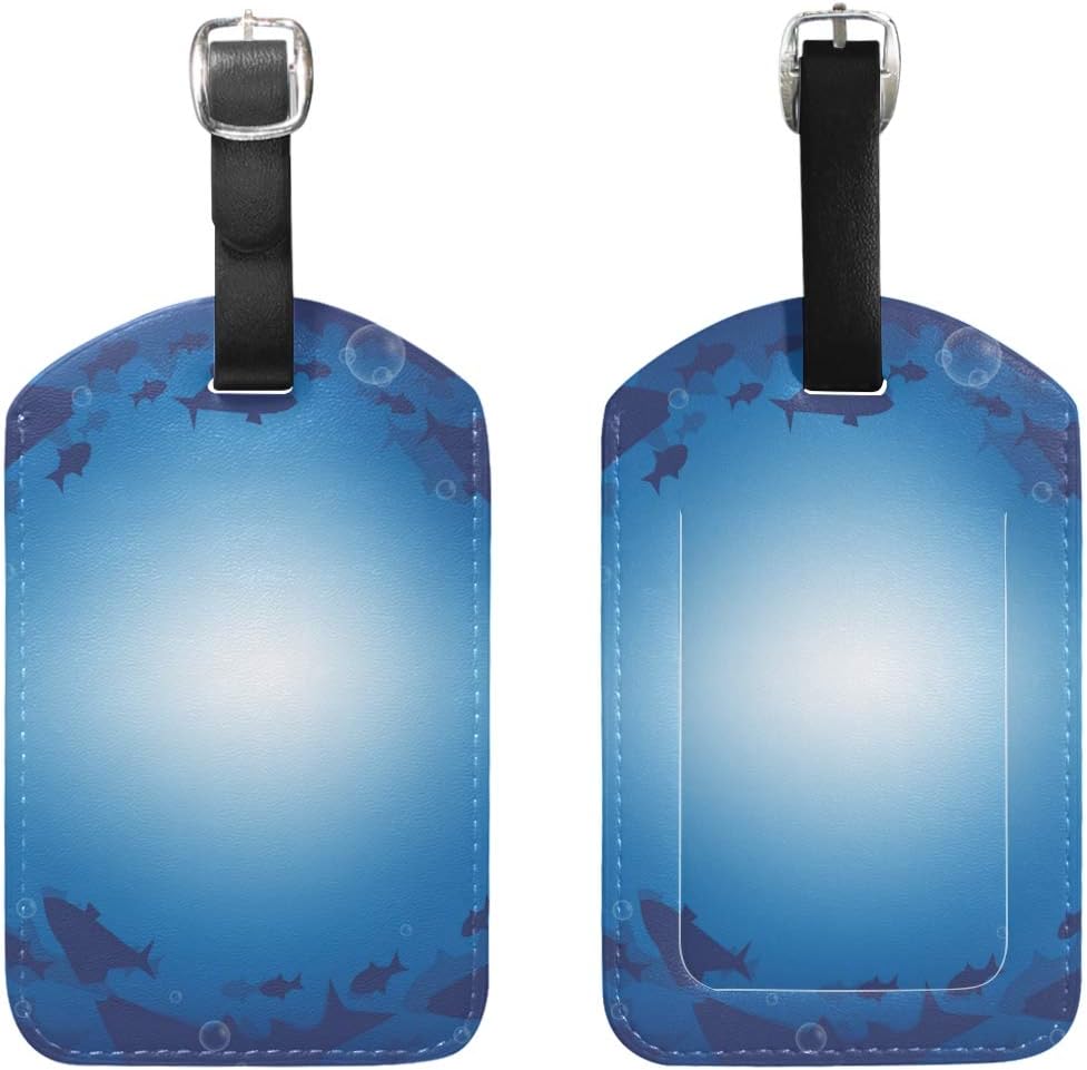 barracuda suitcase amazon