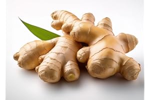 TOPNOTCHPLACE Fresh Organic Ginger Root – Premium Quality, Bold Natural Flavor for Cooking, Tea & Wellness