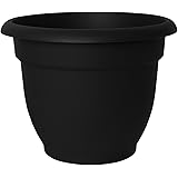 Fiskars 6 Inch Ariana with Self-Watering Grid, Black