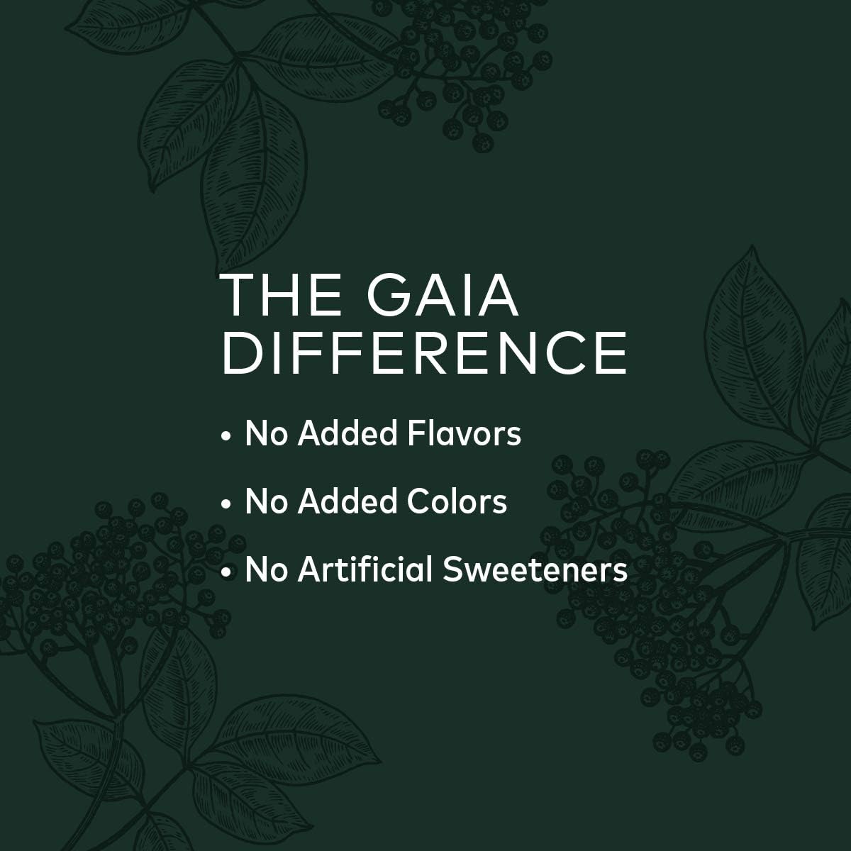 Gaia Herbs Black Elderberry Syrup - Daily Immune Support with Antioxidants, Organic Sambucus Elderberry Supplement, 5.4 Fl Oz (Pack of 1): Health & Personal Care