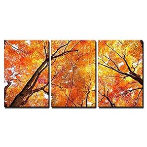3 Piece Canvas Wall Art - Maple Tree in Autumn - Modern Home Art Stretched and Framed Ready to Hang - 16"x24"x3 Panels