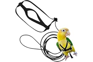 Amaezorx 1 Pcs Adjustable Bird Harness and Leash for Conures, Budgerigar, Lovebird, Cockatiel, Mynah | Anti-Bite Pet Training
