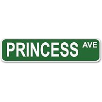 Amazon.com: Adept Mechanism Princess Avenue Aluminum 4" x 17 ...