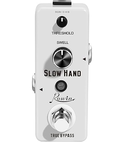 Amazon.com: VSN Delay Slow Hand Effect Guitar Pedal for Digital