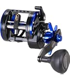 Fishing Reels Salt Water