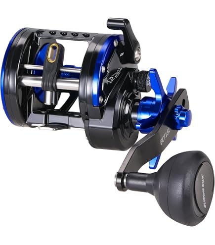 Fishing Reels Salt Water